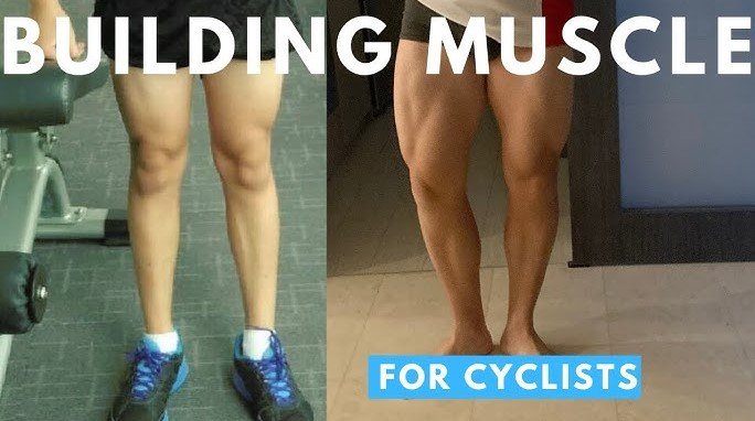 Benefits Beyond Muscle Building