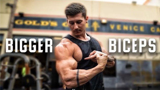 How Pilates Builds Muscle