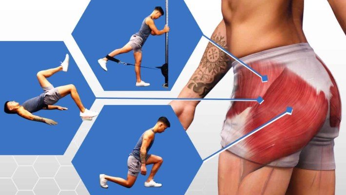 Best Exercises for Glute Muscles