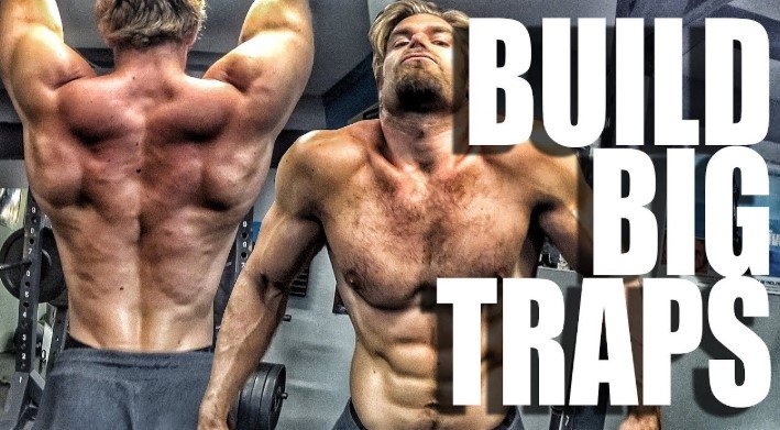 Best Exercises to Build Trap Muscles