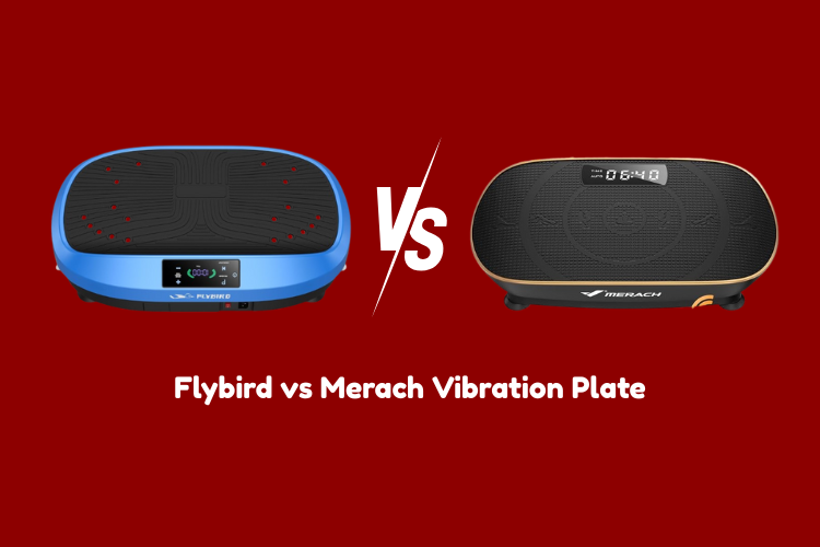 Flybird vs Merach Vibration Plate