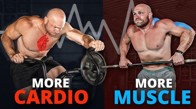 How Cardio Interacts with Muscles