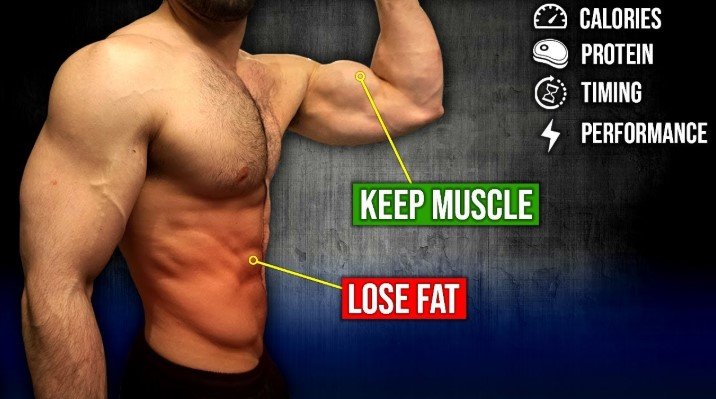 How Do You Burn Fat Without Losing Muscle