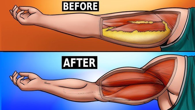 How to Prevent Muscle Loss and Fat Gain