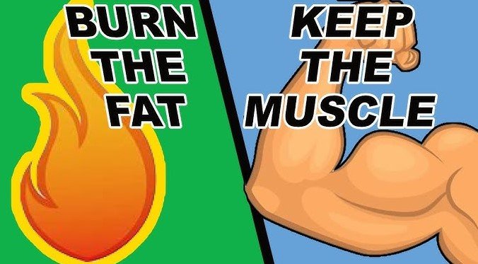 Understanding Fat Loss and Muscle Retention