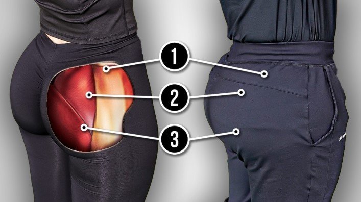 Understanding Glute Muscles