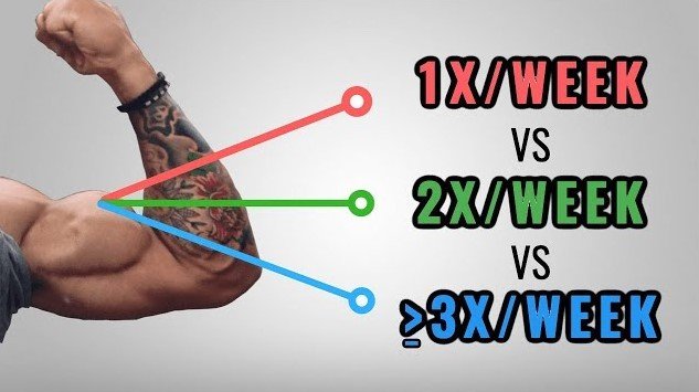Weekly Training Splits