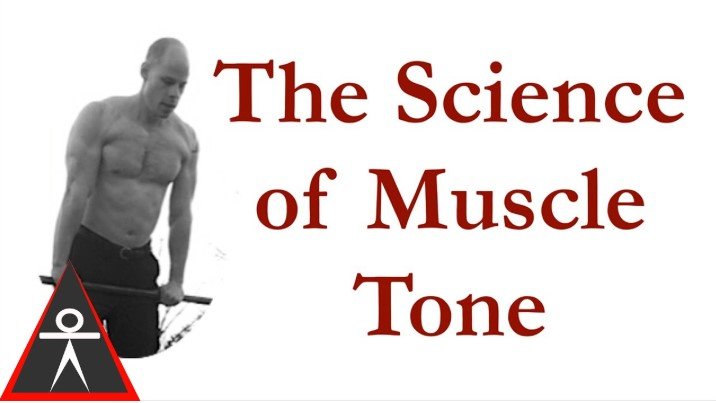 What Does Muscle Toning Mean