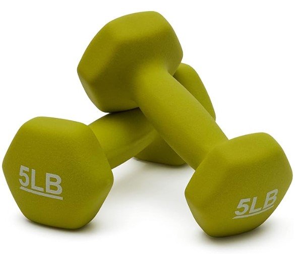 Amazon Basics Dumbbell Weights for Toning Arms