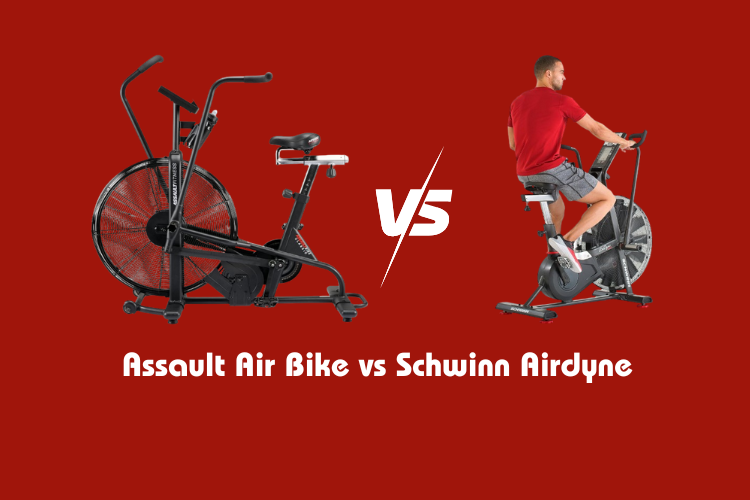 Assault Air Bike vs Schwinn Airdyne