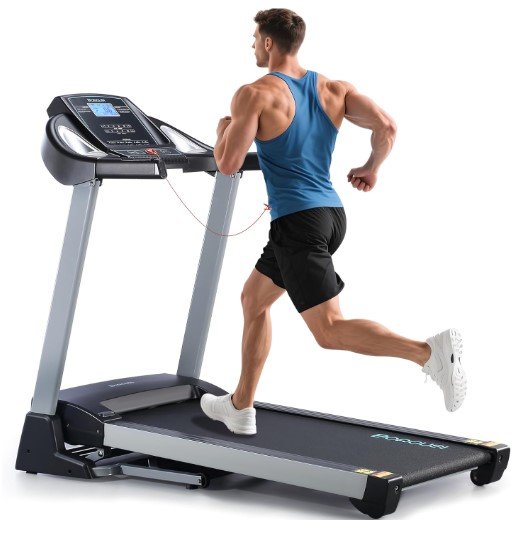 BORGUSI 350 LBS Capacity Treadmill with Auto Incline
