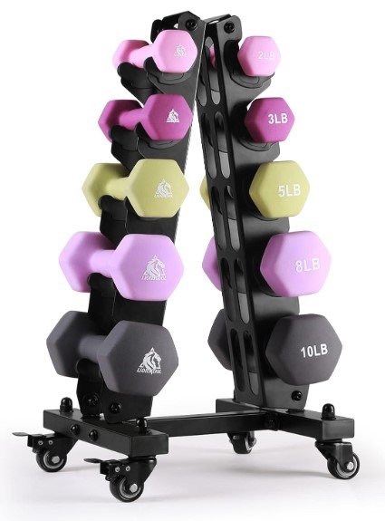 LIONSCOOL Neoprene Coated Dumbbell Sets with Rack