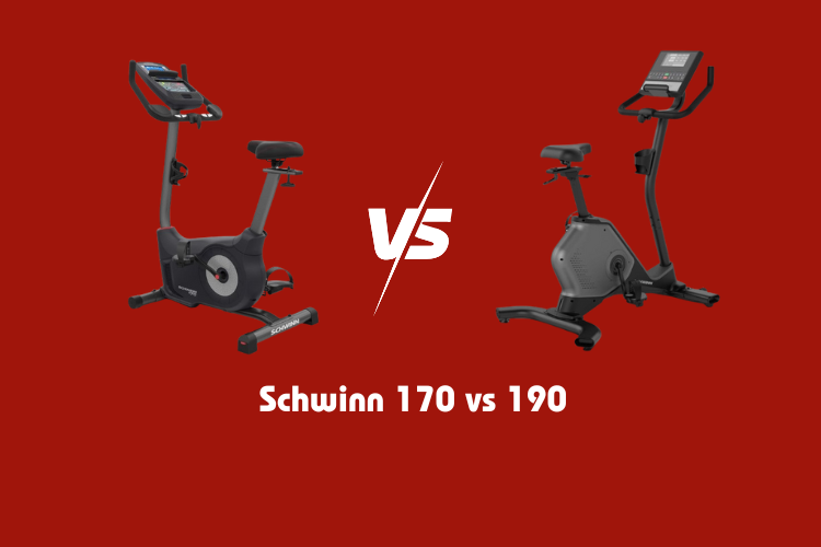 Schwinn 170 vs 190