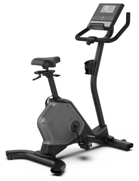 Schwinn 190 Upright Bike