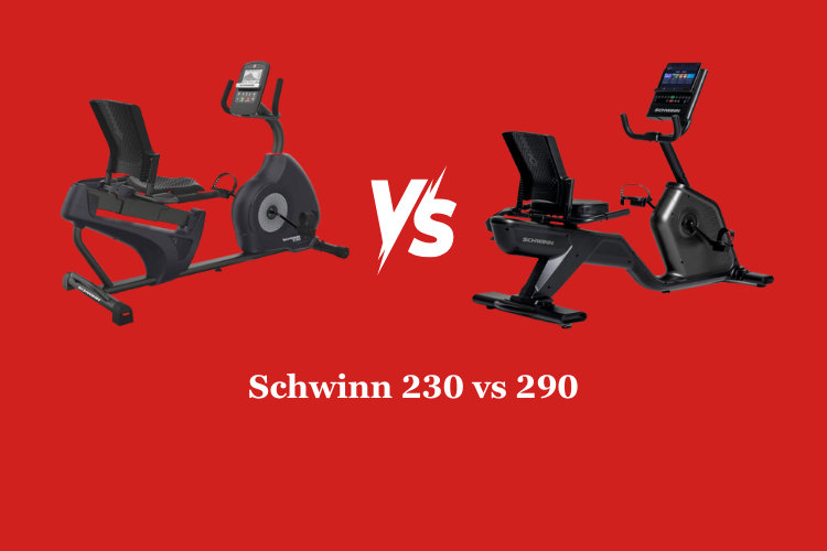 Schwinn 230 vs 290