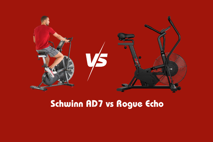 Schwinn AD7 vs Rogue Echo