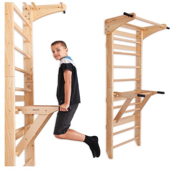 ARTE WIC Swedish Ladder Wall Bars with Pull-Up Bar & Dip Station