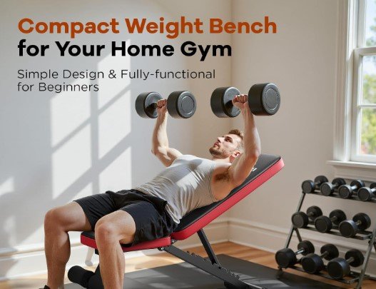 Best Compact Weight Benches