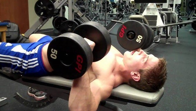 Best Dumbbell Weight Benches