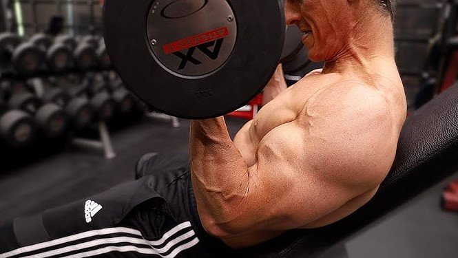 Best Dumbbell Weights for Building Muscle