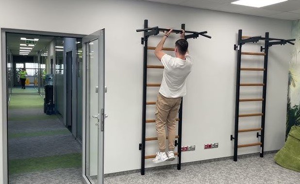 Best Swedish Ladder Dip Bars with Pull-Up Bars