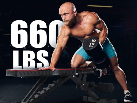 Best Weight Benches for Dumbbells