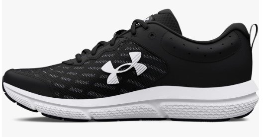 Under Armour Men's Charged Assert 10 Shoes