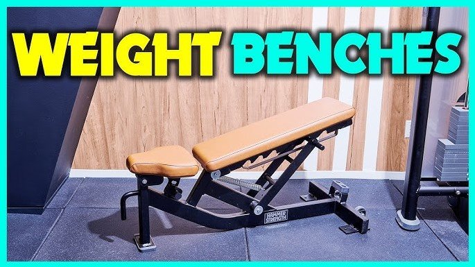 best budget gym benches