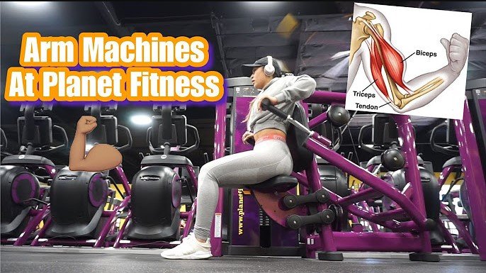 Best Planet Fitness Machines