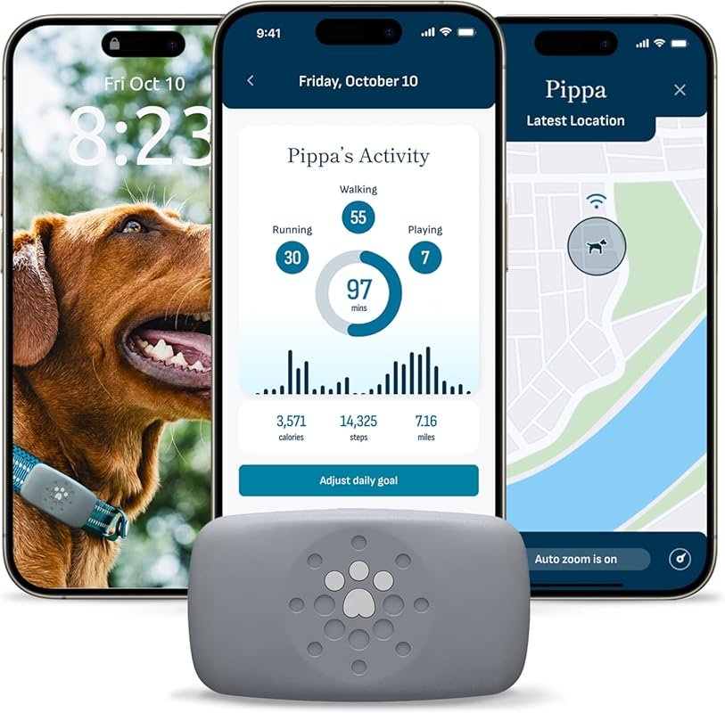 Petivity Smart GPS Activity Tracker for Dogs by Purina: Waterproof Rea