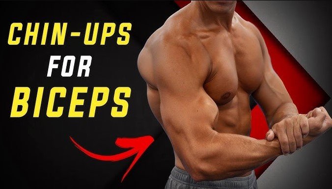 best pull ups for biceps