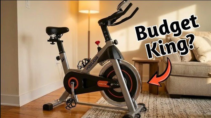 best recumbent exercise bikes under $600