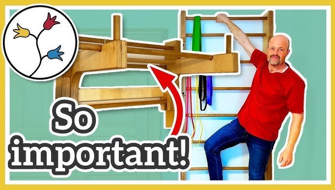 best swedish ladder dip bars pull up bar