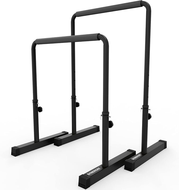 Synergee Dip Bar