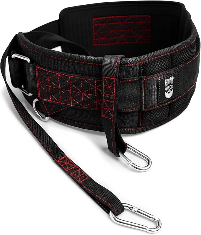 THEFITGUY Heavy Duty Dip Belt