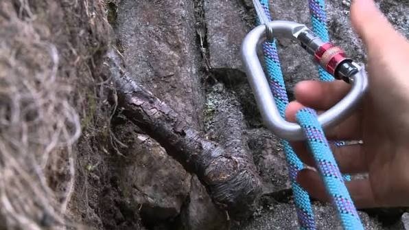 best cheap climbing ropes