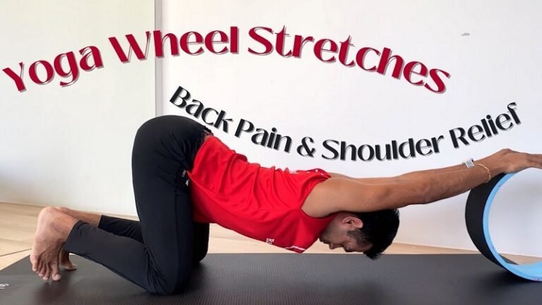 best yoga wheels for beginners with tight backs