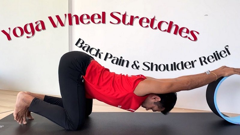 best yoga wheels for beginners with tight backs