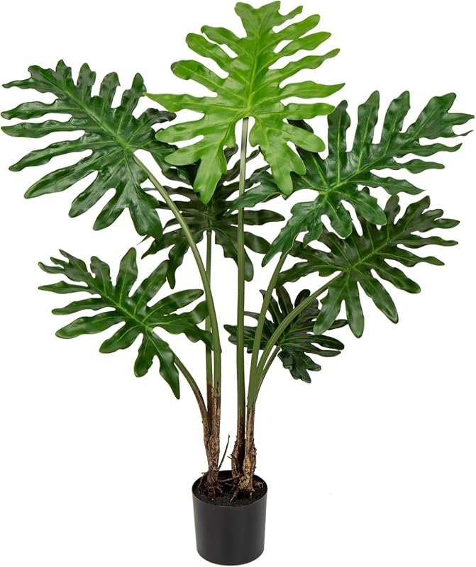 Monstera Tree