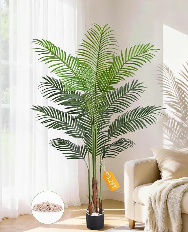 Palm Tree