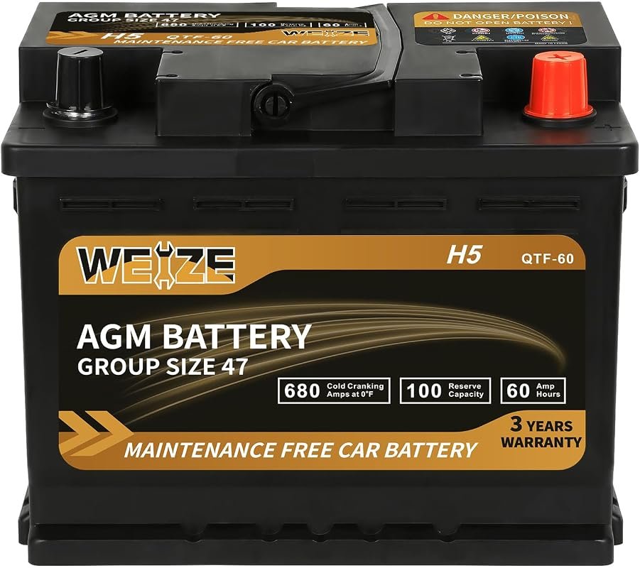 Weize Platinum AGM Battery BCI Group 47 12V 60Ah H5 Size Automotive Ba