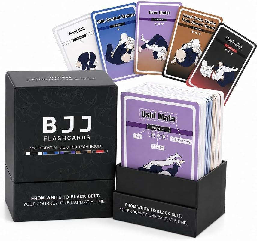 BJJ Flashcards 100 Brazilian Jiu Jitsu Technique Cards for All Belt Levels